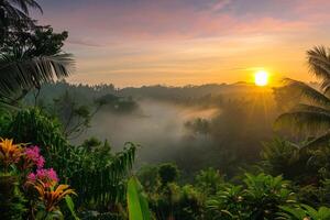 foto Alba al di sopra di bali giungla