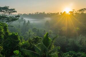 foto Alba al di sopra di bali giungla