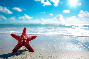 foto stella marina su estate soleggiato spiaggia a oceano