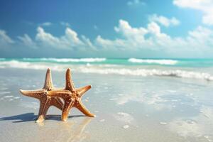 foto stella marina su estate soleggiato spiaggia a oceano