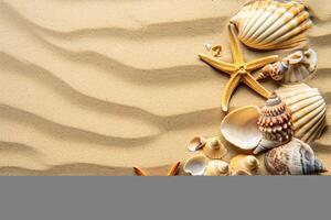 foto copia spazio sabbia con conchiglie e stella marina
