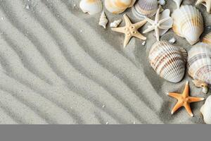 foto copia spazio sabbia con conchiglie e stella marina
