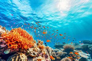 foto corallo scogliera con pesce blu mare subacqueo scena