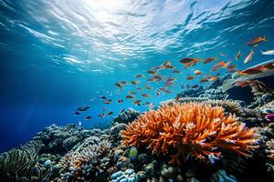 foto corallo scogliera con pesce blu mare subacqueo scena