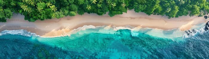il aereo Visualizza paesaggio di un' tropicale estate palma spiaggia e sabbioso spiaggia e turchese oceano con onde sfondo foto