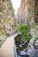 sapadere canyon con di legno percorsi e cascate di cascate nel il Toro montagne vicino Alanya, tacchino foto