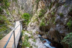 sapadere canyon con di legno percorsi e cascate di cascate nel il Toro montagne vicino Alanya, tacchino foto