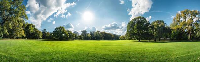 verde campo con alberi e nuvole foto