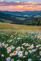 fiori selvatici campo con montagne sfondo foto