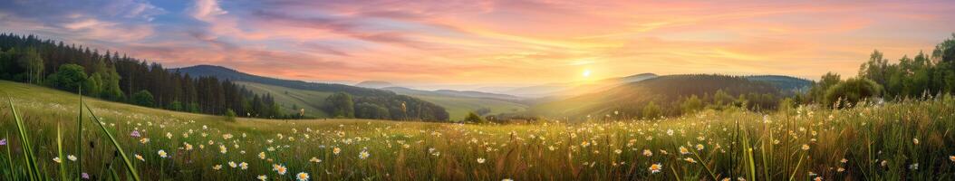 ambientazione sole al di sopra di erboso campo foto