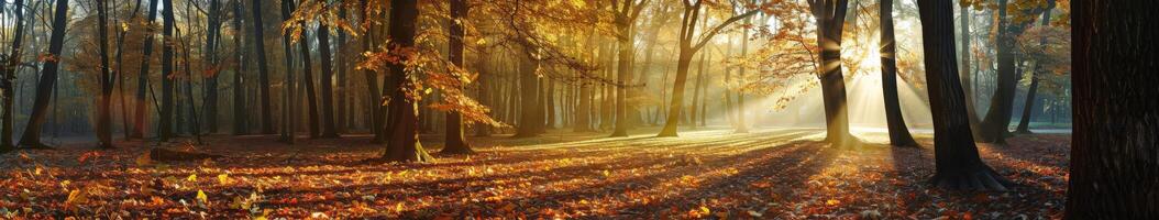 lussureggiante foresta con abbondante frondoso alberi foto