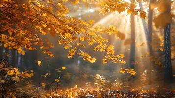 radiante foresta inondato con giallo le foglie foto