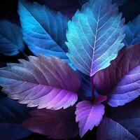 un' vicino su di viola e blu le foglie foto