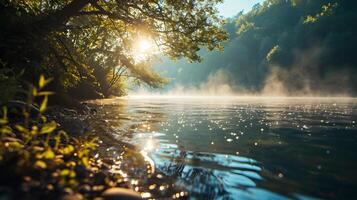 nebbioso Riva del fiume con luce del sole dietro a verde alberi foto