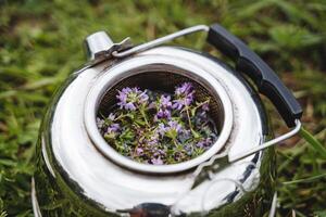 medicinale timo è fermentato nel un' metallo bollitore nel natura, un' delizioso salutare caldo bere, guarigione Tè, erbaceo bere. foto