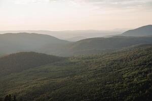 denso taiga foresta a partire dal sopra, a volo d'uccello Visualizza, fuco tiro, volante al di sopra di il foresta, leggero foschia nel il distanza, verde alberi, misto foresta foto