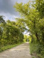 katy pista vicino tebbetts, Missouri, nel autunno scenario foto