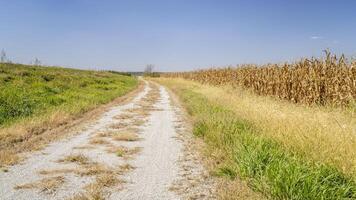 ghiaia strada attraverso Nebraska terreni agricoli - battello a vapore traccia, bicicletta pista convertito a partire dal vecchio Ferrovia vicino Perù, ne foto