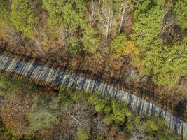 Locale autostrada attraverso Alabama foresta lungo il tenessee fiume, riverton rosa sentiero, in ritardo novembre aereo Visualizza foto