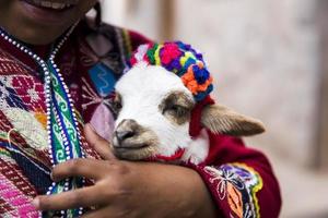 cusco, perù, 31 dicembre 2017 - ragazza non identificata sulla strada di cusco, perù. quasi il 29 percento della popolazione di Cusco ha meno di 14 anni. foto