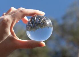 mano Tenere trasparente bicchiere sfera, sfera. natura, alberi, cielo foto