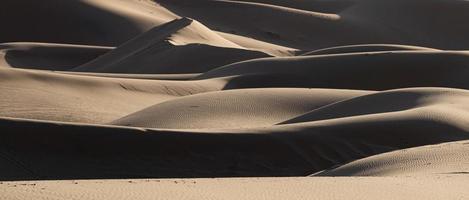 dune di sabbia del sahara, marocco foto