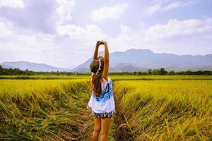 le donne asiatiche viaggiano nei campi di riso giallo dorato sulle montagne in vacanza. felice e godendo di una natura meravigliosa. viaggiare in campagna, risaie verdi, viaggiare in thailandia. foto