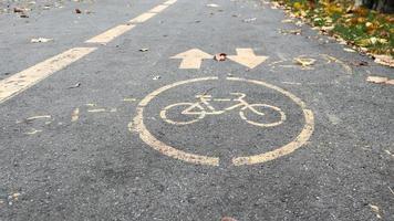 pista ciclabile sul lato di una strada cittadina in autunno. segnaletica stradale sotto forma di due frecce in arrivo su un sentiero asfaltato nel parco autunnale. foglie cadute nella foresta. concetto di stagione autunnale foto