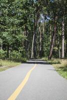 strada nel il estate foresta. foto