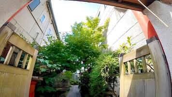 santuari osan inari e furuki benzaiten nel botanico, koto reparto, tokyo, Giappone inari santuario è dedito per un' povero donna chi è il base di un' rakugo fantasma storia. foto