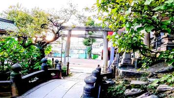 santuario torii e bridge.oji inari santuario, un' santuario nel Kishicho, kita reparto, tokyo, Giappone. durante il kohei anno foto