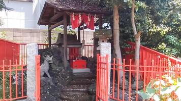 piccolo santuario e fox.mimeguri santuario è un' santuario collocato nel mukojima, sumida reparto, tokyo, Giappone. foto