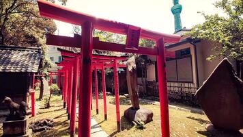 santuario torii con un' Visualizza di tokyo skytree torre.mimeguri santuario è un' santuario collocato nel mukojima, sumida reparto, tokyo, Giappone. foto