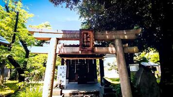 santuario entro il recinti di mimeguri santuario,ebisu-kami e okuni-kami.mimeguri santuario è un' santuario collocato nel mukojima, sumida reparto, tokyo, Giappone. foto