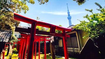 santuario torii con un' Visualizza di tokyo skytree torre.mimeguri santuario è un' santuario collocato nel mukojima, sumida reparto, tokyo, Giappone. foto