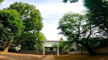 santuario torii in piedi nel un' vacante lotto kamimachi tenso santuario,, un' santuario nel setagaya, tokyo, Giappone adiacente per un' parco, esso è collocato nel il indietro di un' pulito spazio. foto