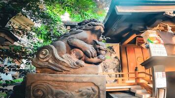 custode cani di inari kio santuario, un' santuario nel kabukicho.inari kio santuario, un' santuario nel kabukicho, Shinjuku-ku, tokyo il solo santuario nel Giappone quello custodisce il demone re gongen. foto