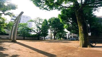 santuario torii in piedi nel un' vacante lotto kamimachi tenso santuario,, un' santuario nel setagaya, tokyo, Giappone adiacente per un' parco, esso è collocato nel il indietro di un' pulito spazio. foto