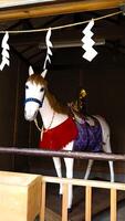 un' bianca cavallo ornamento dedito per un' santuario. un' cavallo considerato sacro come un' cavallo cavalcato di di Dio. un' cavallo quello è dedito per un' giapponese santuario o appare durante feste. foto