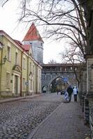 storico case su acciottolato strada nel vecchio cittadina. il medievale architettura di piccolo passerella nel vuoto strade e vicoli. dettaglio di edifici nel stretto corsia. tallinn, Estonia - febbraio 6, 2024 foto