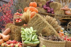 fresco biologico verdure su contadino mercato nel autunno. Locale azienda agricola bazar. assortimento di fresco biologico raccogliere giardino produrre. bio eco prodotti. naturale salutare cibo Festival. agricolo rustico giusto foto