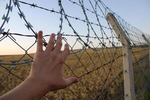 un' maschio mano Tenere il recinzione. profugo o prigioniero maschio. rappresentante di la libertà e cattività. foto