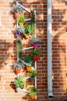 fiori crescere nel pentole su il parete, decorazione di il esterno parete design di il costruzione, all'aperto impianti, arredamento di il Casa territorio, grondaia tubo, colorato fiore pentole foto