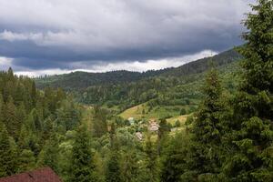 tetti di case nel il foresta foto