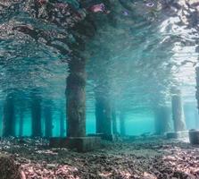 vista subacquea di sotto un molo con pilastri e luce solare
