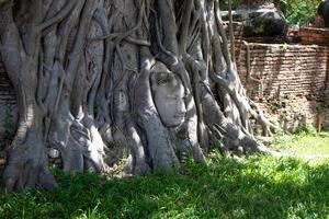 wat mahathat antico a storico parco a ayutthaya storico parco, Phra nakhon SI ayutthaya Provincia, Tailandia foto