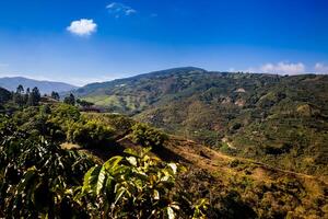 il bellissimo caffè culturale paesaggio di Colombia dichiarato come un' mondo eredità luogo nel 2011 foto