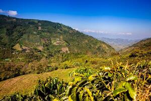 il bellissimo caffè culturale paesaggio di Colombia dichiarato come un' mondo eredità luogo nel 2011 foto