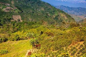 il bellissimo caffè culturale paesaggio di Colombia dichiarato come un' mondo eredità luogo nel 2011 foto