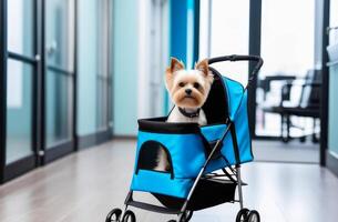 ai generato piccolo cane è seduta nel un' animale domestico passeggino nel corridoio di veterinario clinica su sfocato sfondo foto